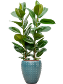 Pot laos emperor bleue