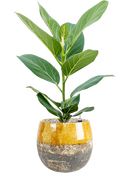 Pot lindy couple jaune