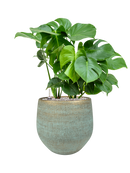 Pot ryan couple bleue