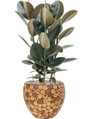 Pot facets couple marron