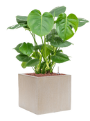 Pot raindrop cube beige