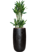 Pot marly partner noire