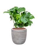 Pot nature rib couple beige