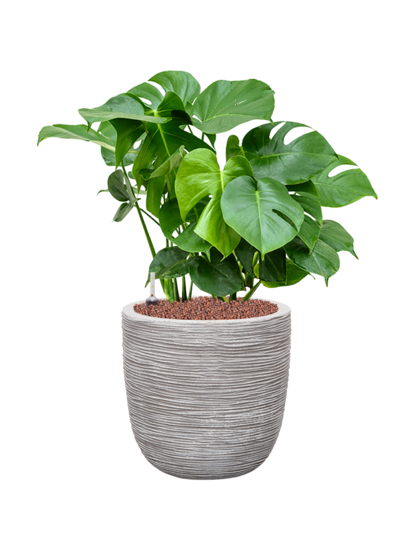 Pot nature rib couple beige