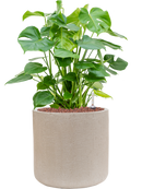 Pot raindrop cylinder beige