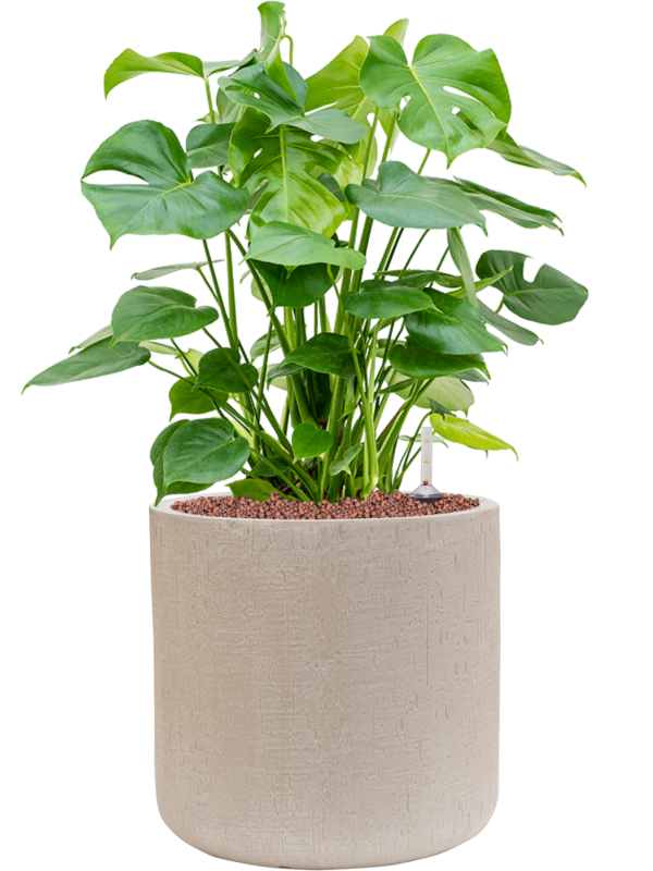 Pot raindrop cylinder beige