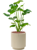 Pot nature groove special cylinder beige