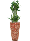 Pot lava partner rouge