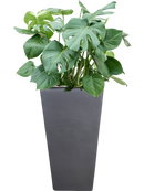 Pot plain kubis anthracite