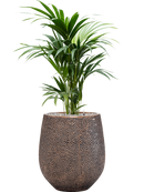 Pot opus emperor d'or