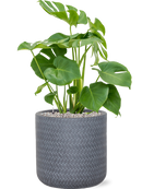 Pot angle cylinder grise