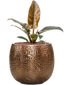 Pot marly couple d'or