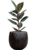 Pot marly couple noire