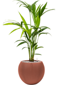 Pot nature groove special globe rouge