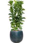 Pot marly couple bleue