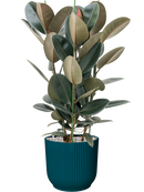 Pot vibes cylinder bleue