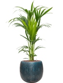 Pot marly couple bleue