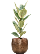 Pot marly couple d'or