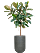 Pot ridged cylinder grise