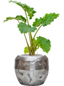 Pot opus couple argent