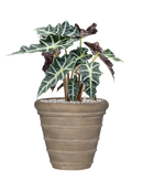 Pot treasure couple beige