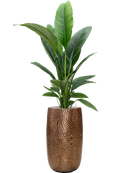 Pot marly partner d'or