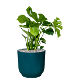 Pot vibes cylinder bleue