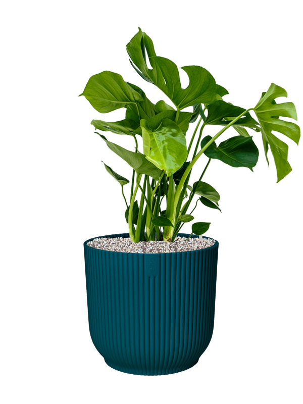 Pot vibes cylinder bleue