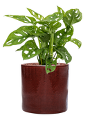 Pot cylinder cylinder rouge