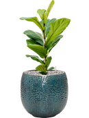 Pot marly couple bleue