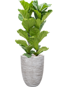 Pot nature rib partner beige