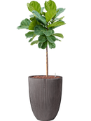 Pot nature groove partner beige