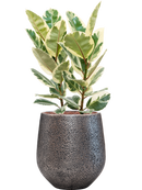 Pot opus emperor argent