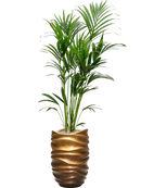 Pot gradient partner marron