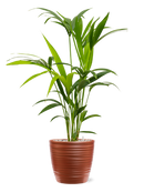 Pot groove couple rouge