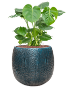 Pot marly couple bleue