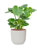 Pot vibes cylinder blanche