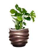 Pot gradient couple marron