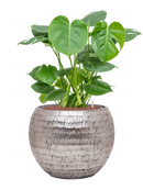 Pot opus globe argent