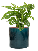 Pot cylinder cylinder bleue