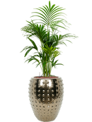 Pot laos emperor d'or