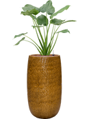 Pot marly partner jaune