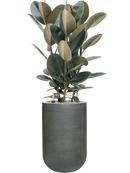 Pot ridged cylinder grise