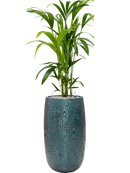 Pot marly partner bleue