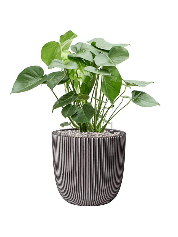 Pot nature groove couple anthracite