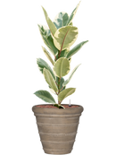 Pot treasure couple beige