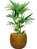 Pot marly couple jaune