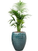 Pot laos emperor bleue