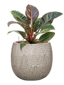 Pot marly couple blanche