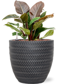 Pot angle couple anthracite